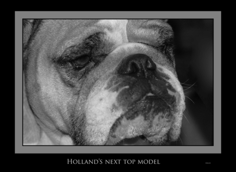 Holland's next ...