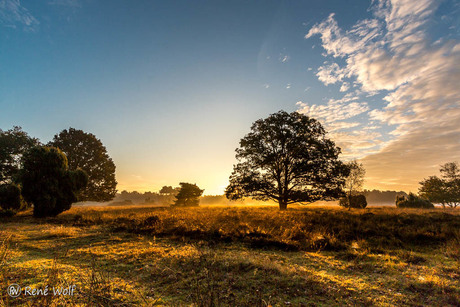 Morgenstond