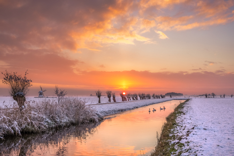 Hollandse winter...