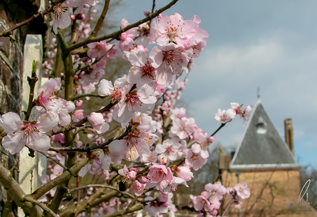 Ander weer op 7 maart 2020