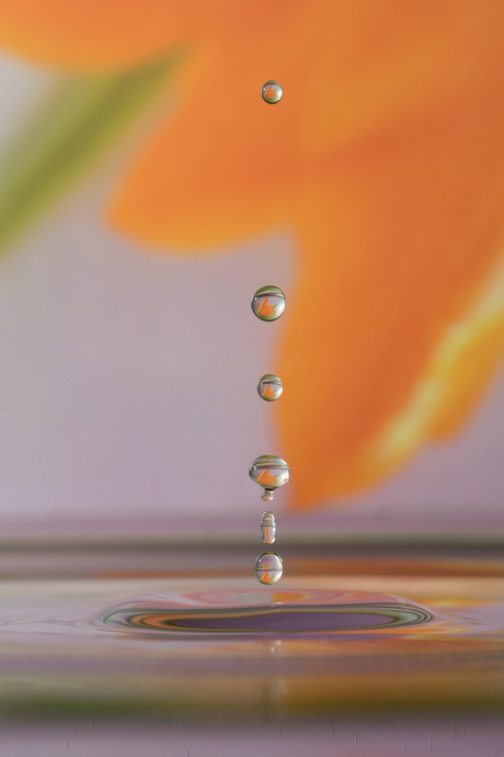 drop