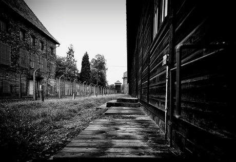 AUSCHWITZ_06