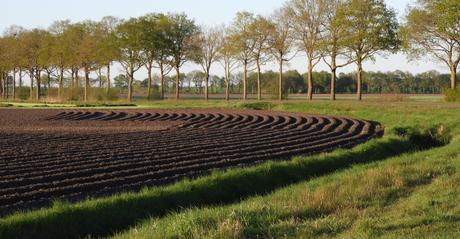 Weilanden
