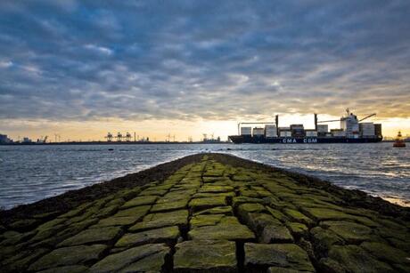 Hoek van Holland 4