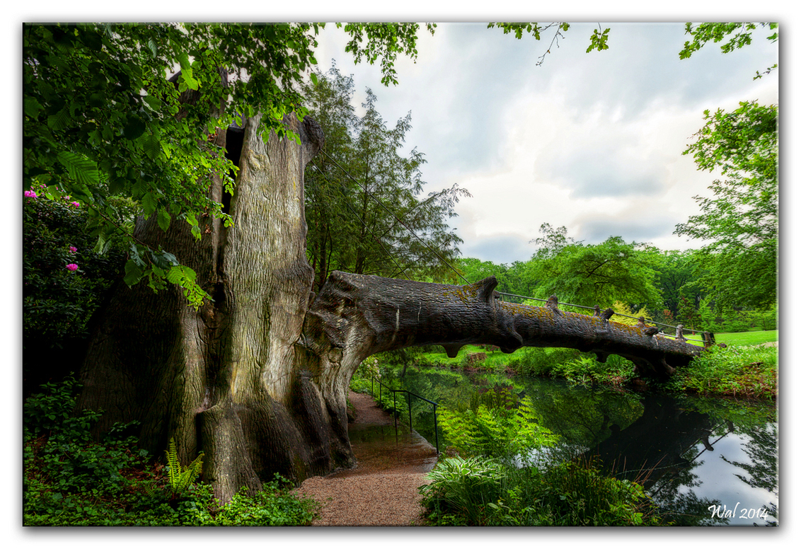 Kasteeltuinen Arcen - foto van Walk - Natuur - Zoom.nl