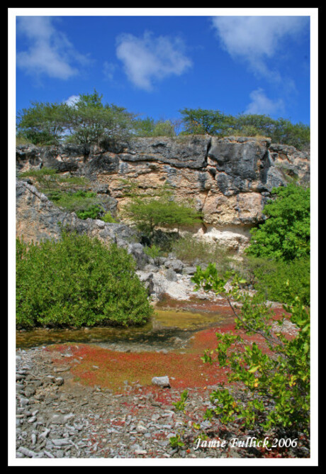 Curacao gewoon ...