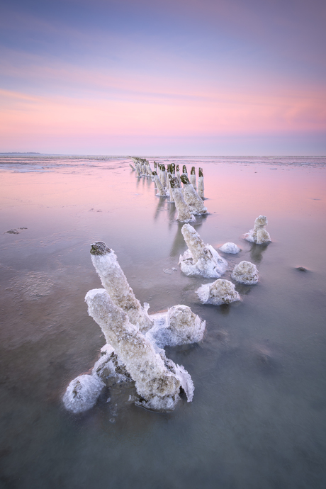 Het had wad gevroren 