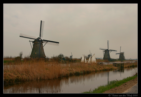 Kinderdijk