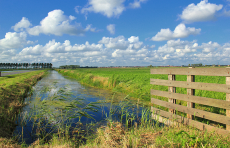 Polder.jpg