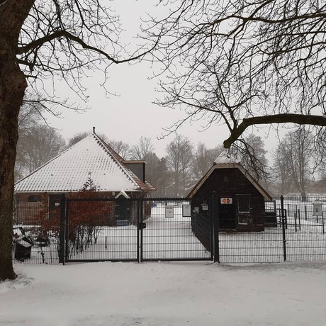 Kinderboerderij bospark