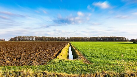 Werkendamse polder