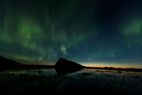 Noorderlicht in Gimsøy (Lofoten)