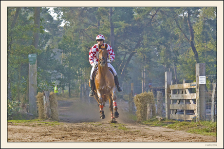 Hippisch festijn 2009