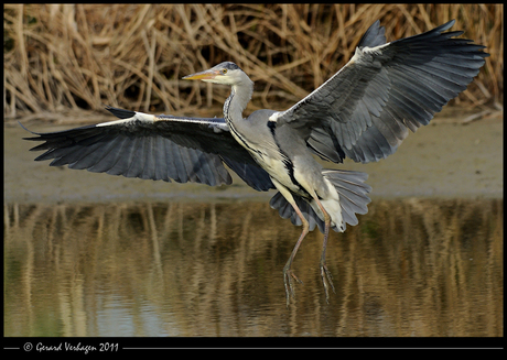 Landing ingezet