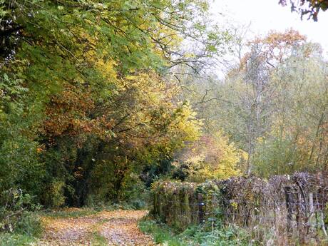 Limburg in de herfst 1