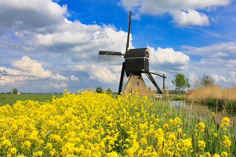 Broekmolen