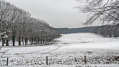 Besneeuwde heuvels Mariëndaal