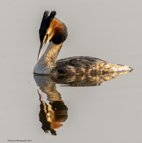 Spiegeltje aan de wand