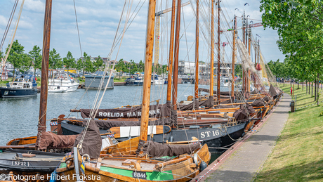 Botters in de haven van Harderwijk