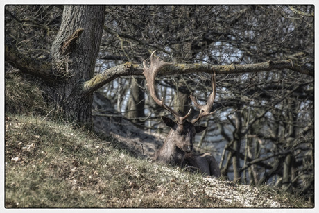 Genieten in de lentezon