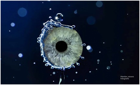 iris fotografie en bewerking