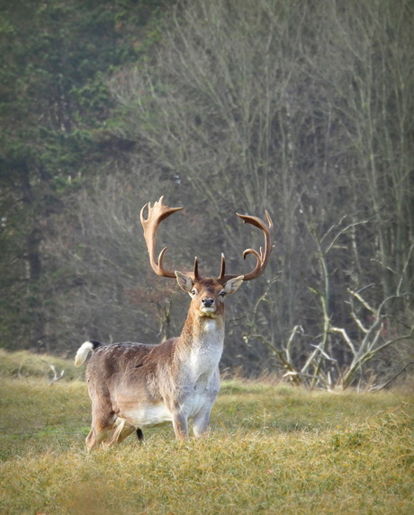 Kijk mij eens .........