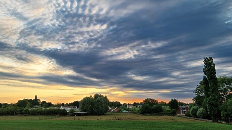 Avondlucht