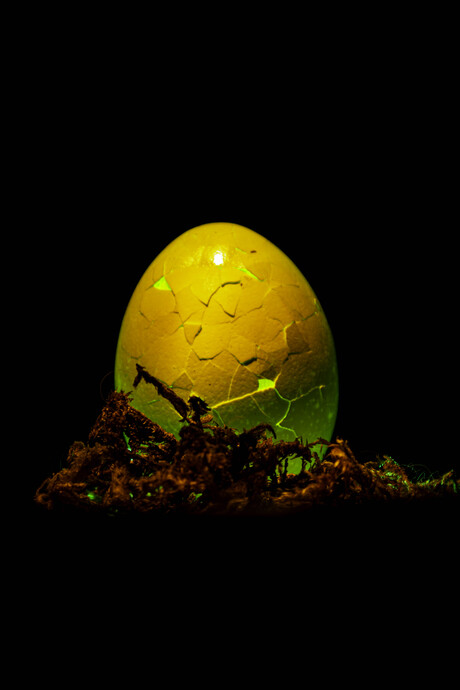 Gebarsten Ei