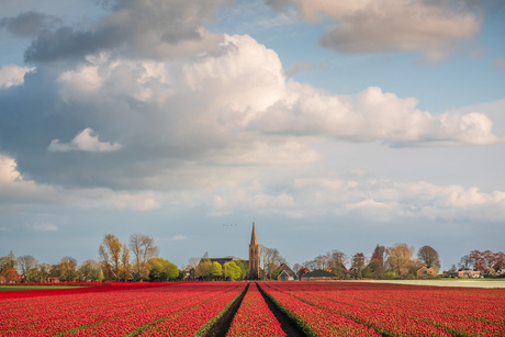 Hollands plaatje