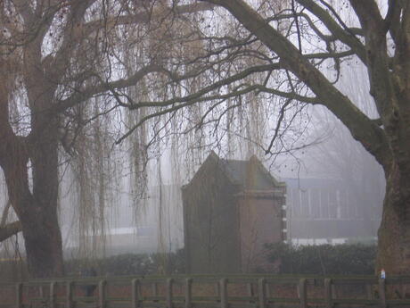 Droevige mist