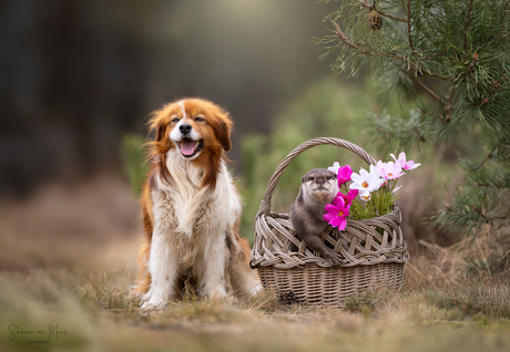 Picknick met je beste vriend