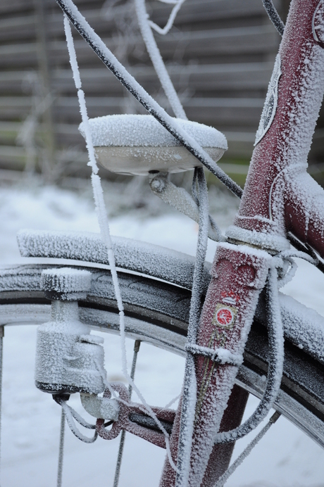 Frozen bike