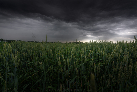 Dark Days are coming!