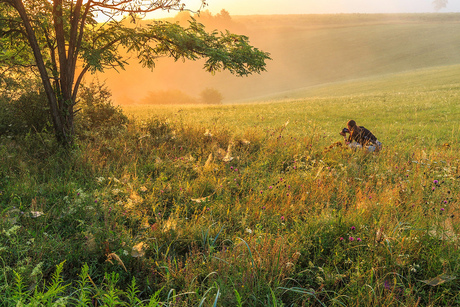 in morgenlicht