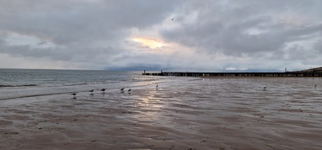 Gouden uurtje aan zee