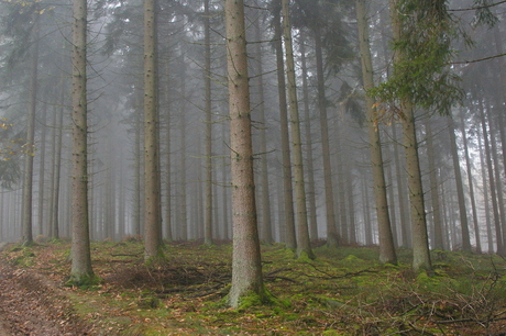 Belg-Ardennen