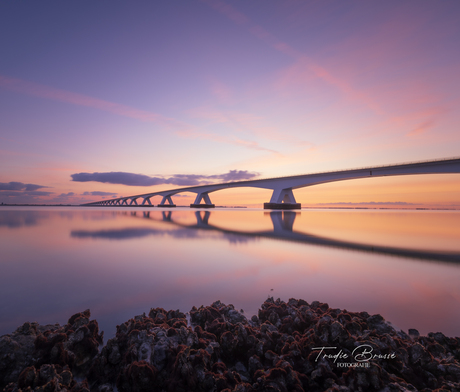 Zeelandbrug .. 14-09-2024 