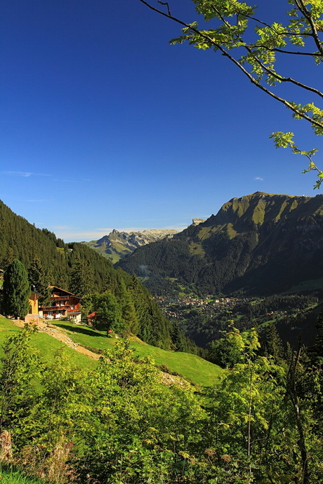 Wengen