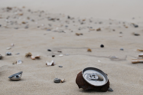 Terschelling