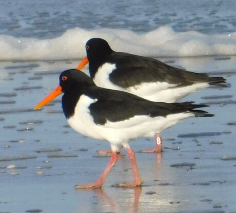 sla er maar geen acht op!!