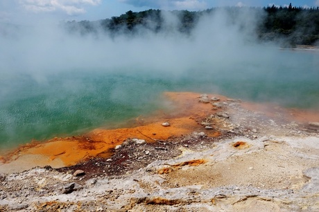 Champagne pool