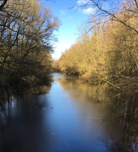 In het Amsterdamse bos