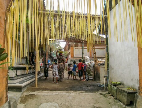 Dorpsleven op Bali