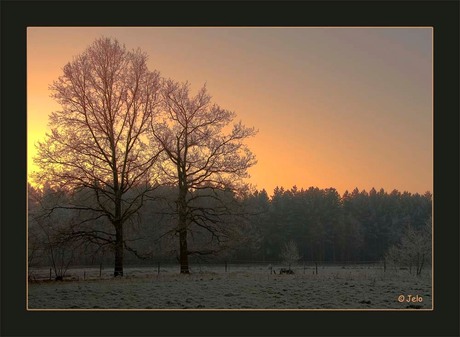 Zonsopgang in de winter