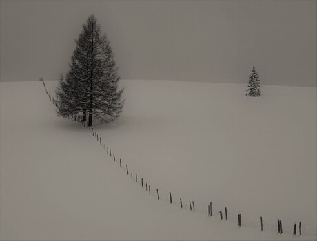Eenzaam in de sneeuw
