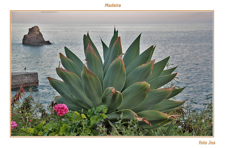 Madeira 6