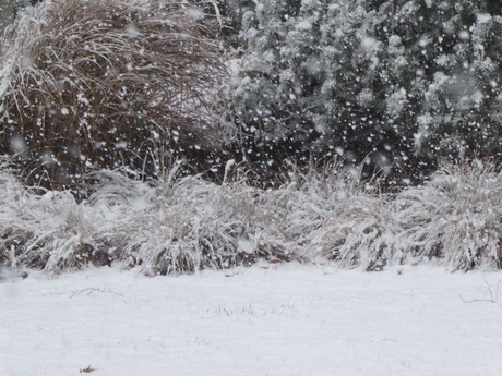 De derde dag sneeuw 6