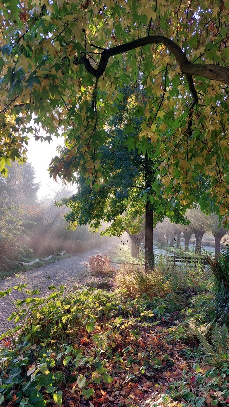 Ontwaken van de tuin