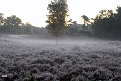 lievens berg vroeg in de morgen