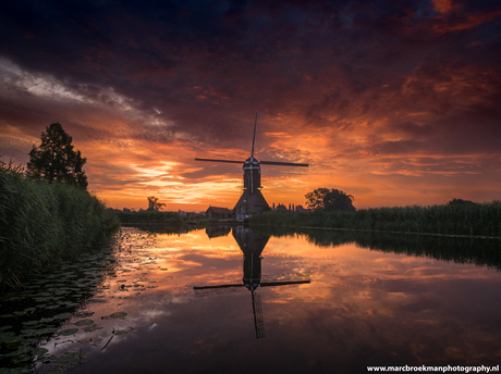 Oudendijkse Molen